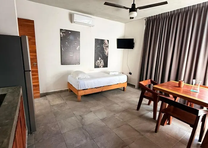 Pacha Apartament *
