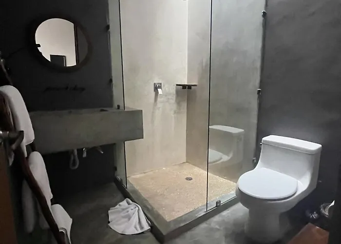Pacha Apartament
