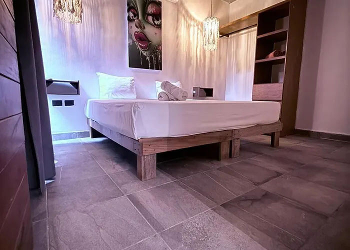 Apartament Pacha *