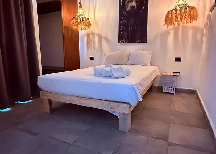 Pacha Apartament