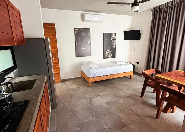 Apartament Pacha *