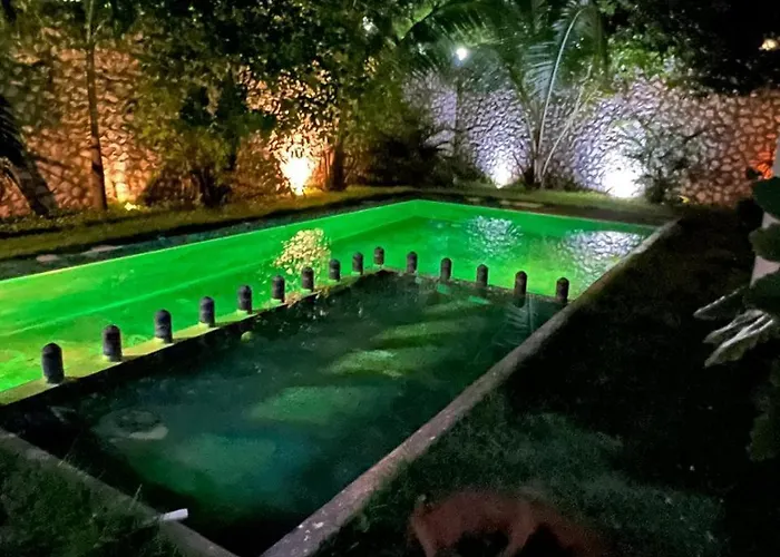 Apartament Pacha *